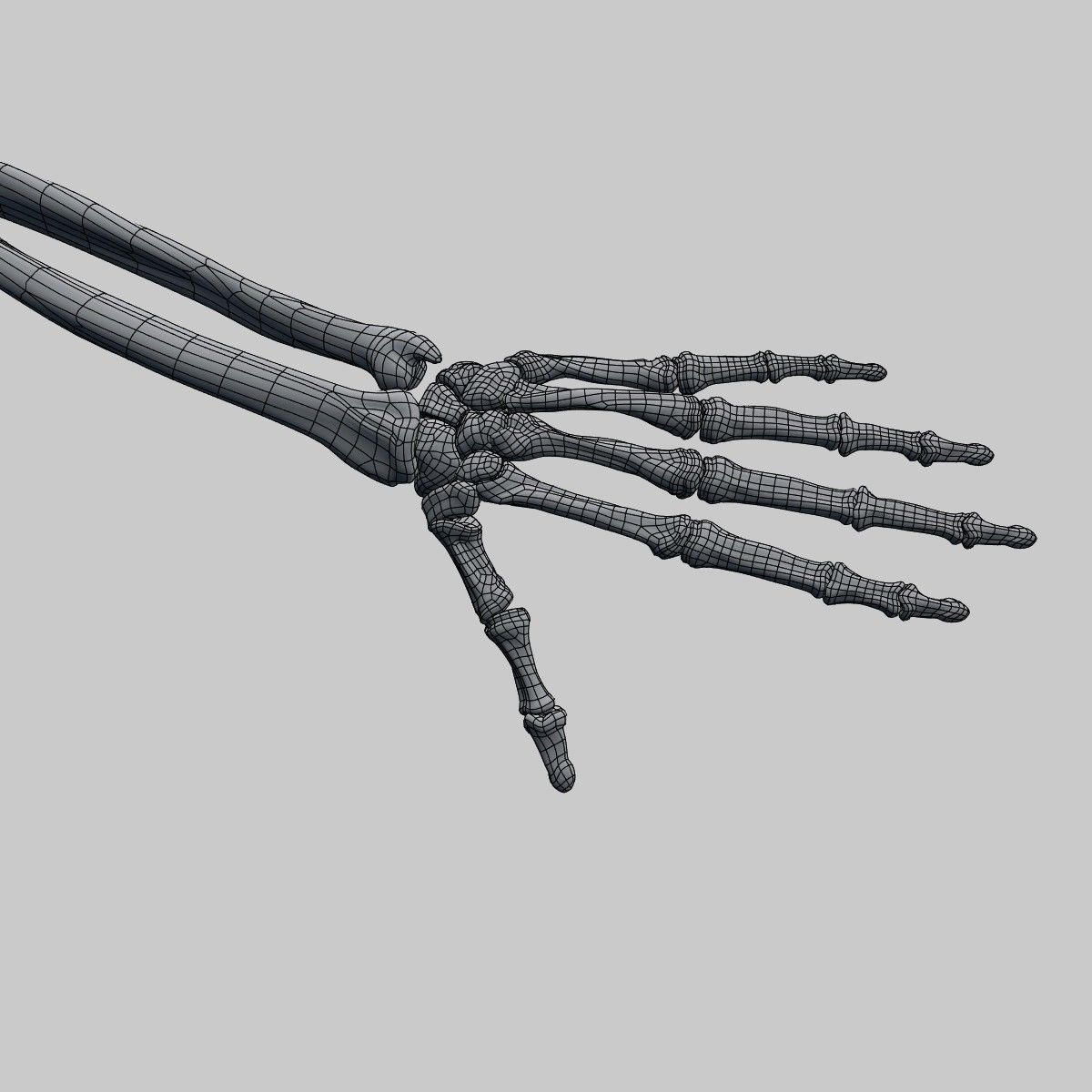 Plastic skeleton 3D model_10