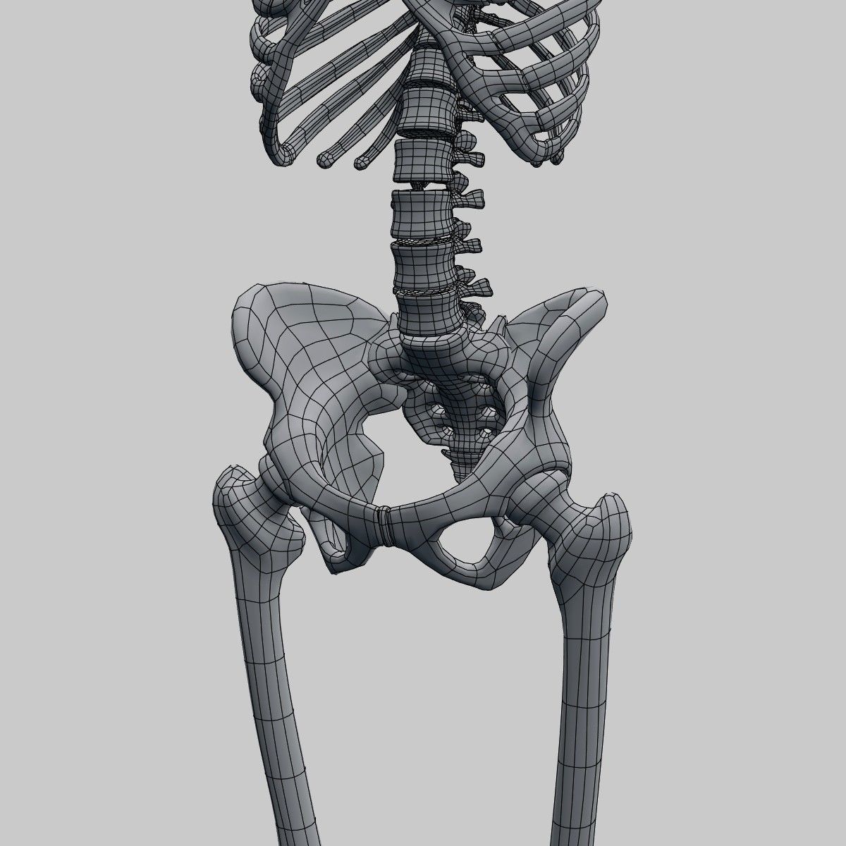 Plastic skeleton 3D model_8