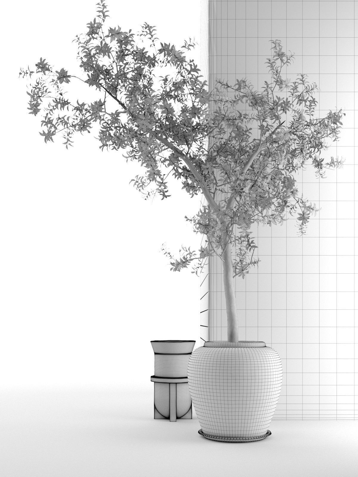 Outdoor Pots with Olive Tree 3D model_4