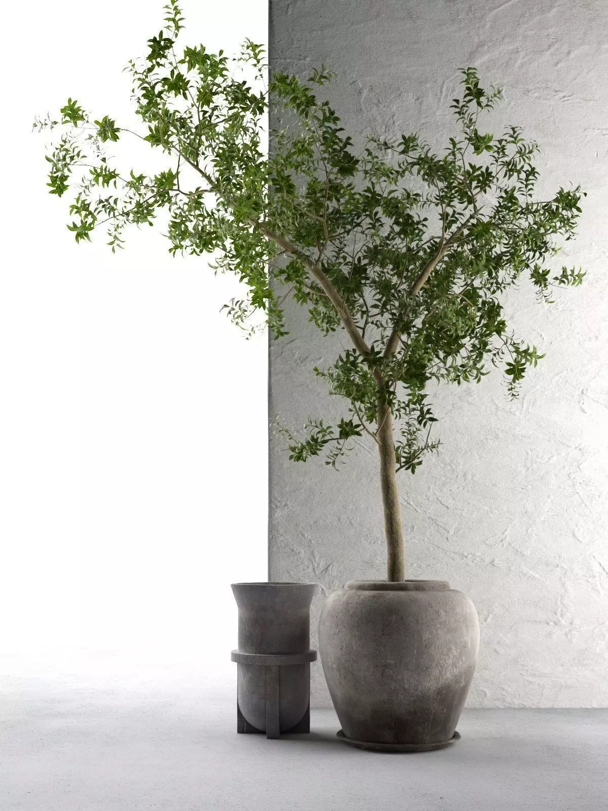 Outdoor Pots with Olive Tree 3D model_0