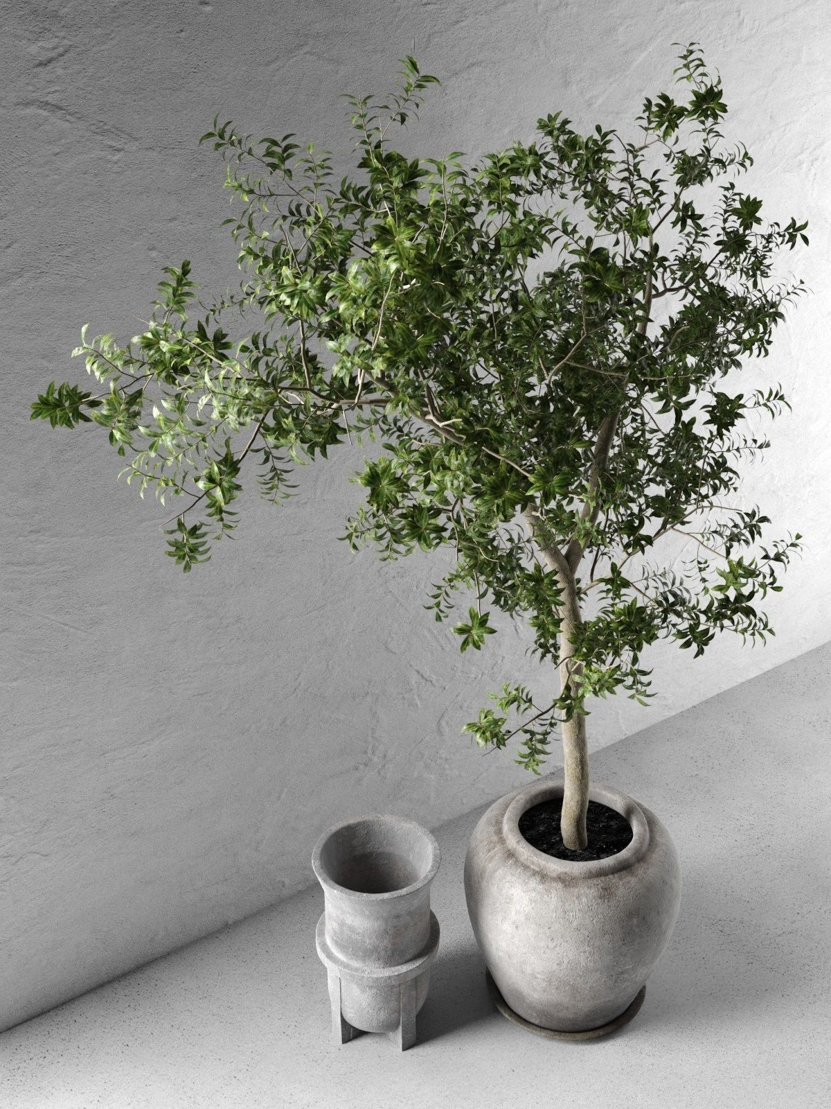Outdoor Pots with Olive Tree 3D model_1