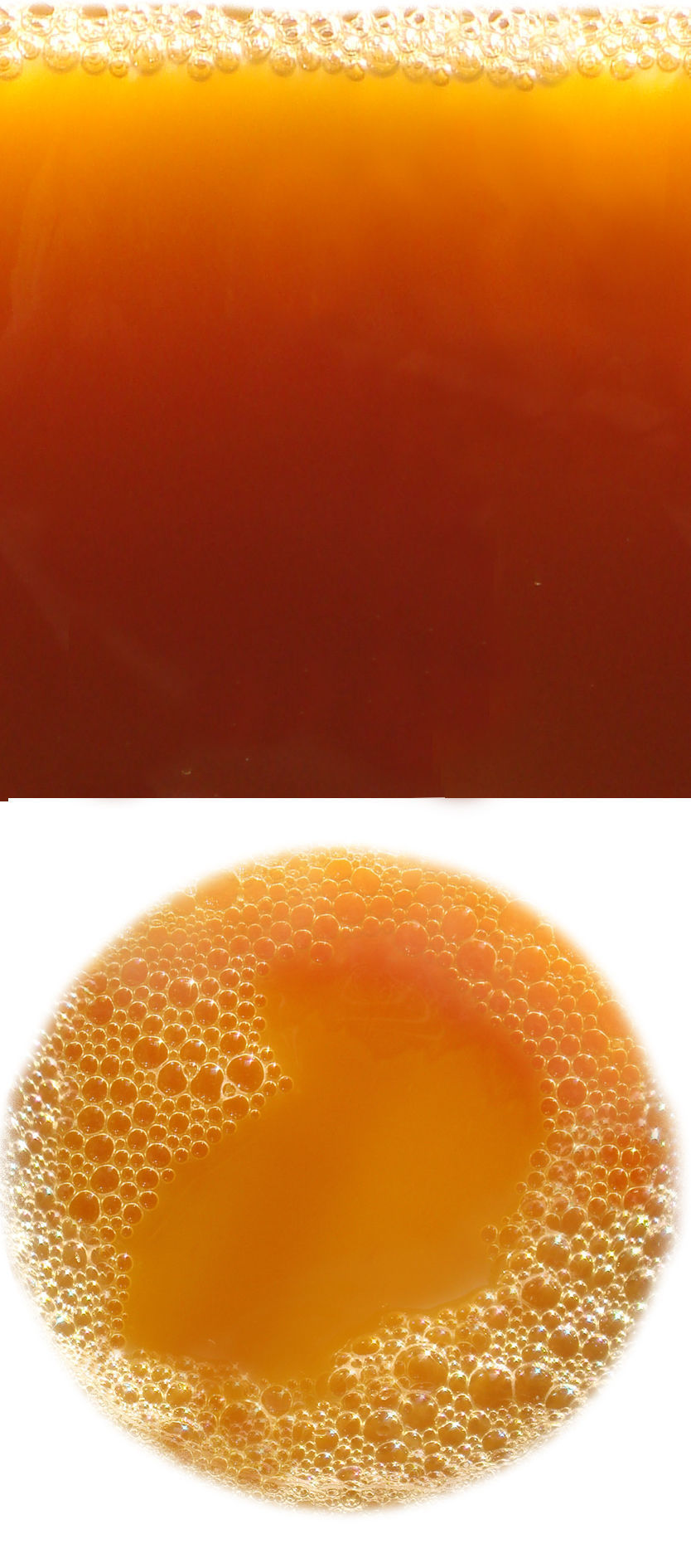 breakfast piece of orange and food in circular shape Free 3D model_8