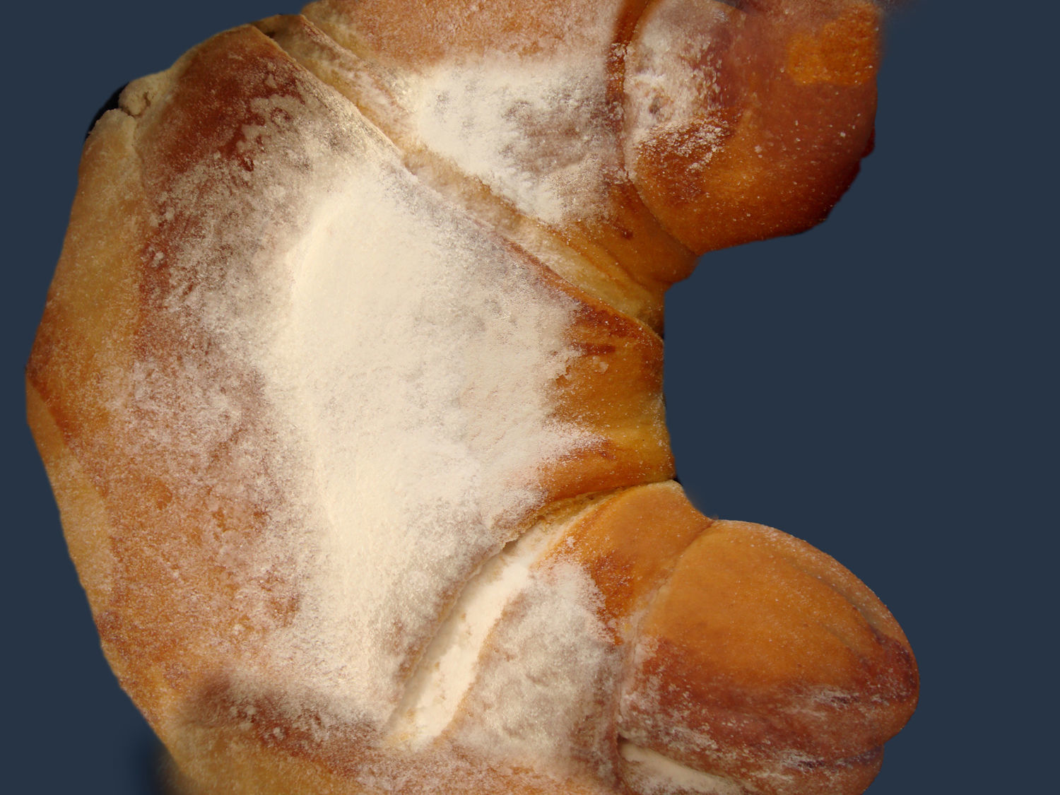 breakfast piece of orange and food in circular shape Free 3D model_7