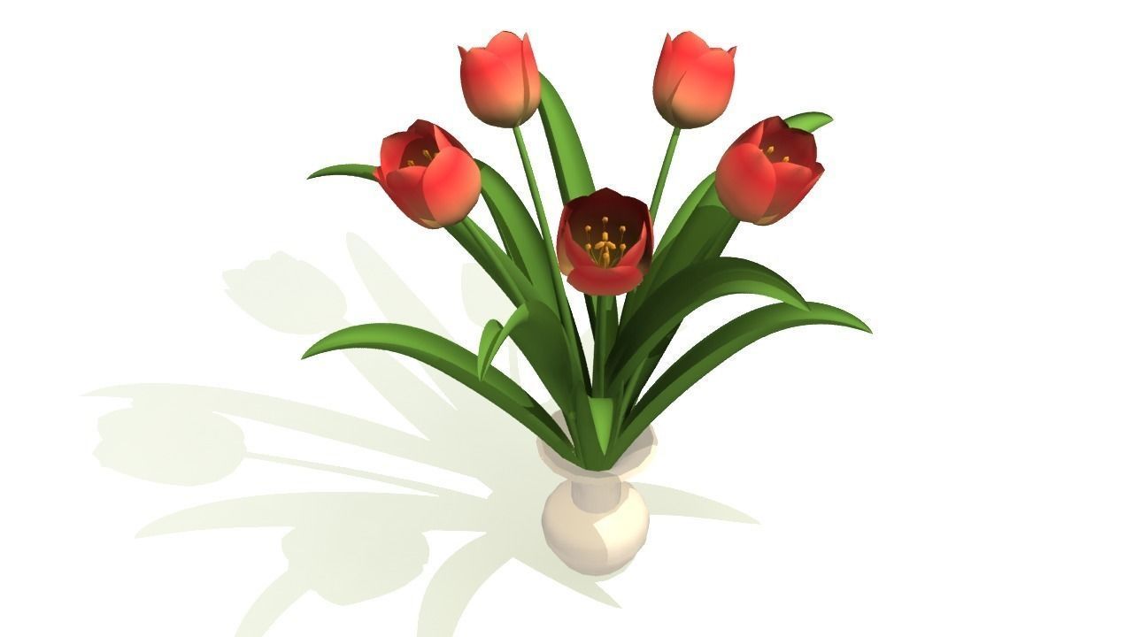 Tulips in vase 3D model_0