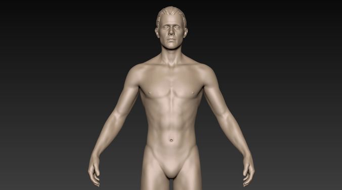 Male Basemesh 01 3D model