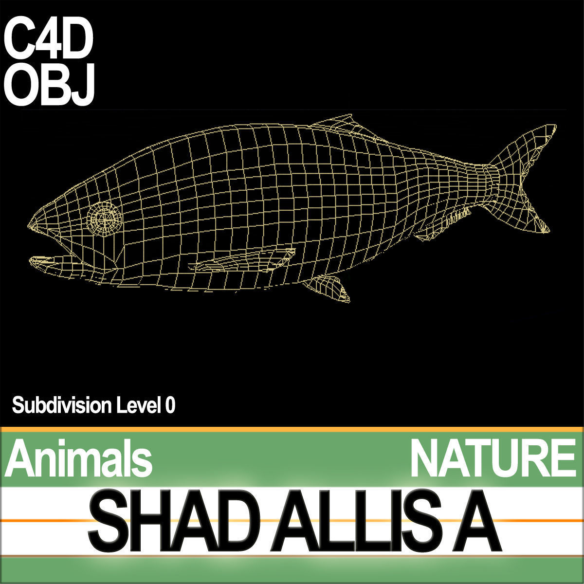Allis Shad A 3D model_5