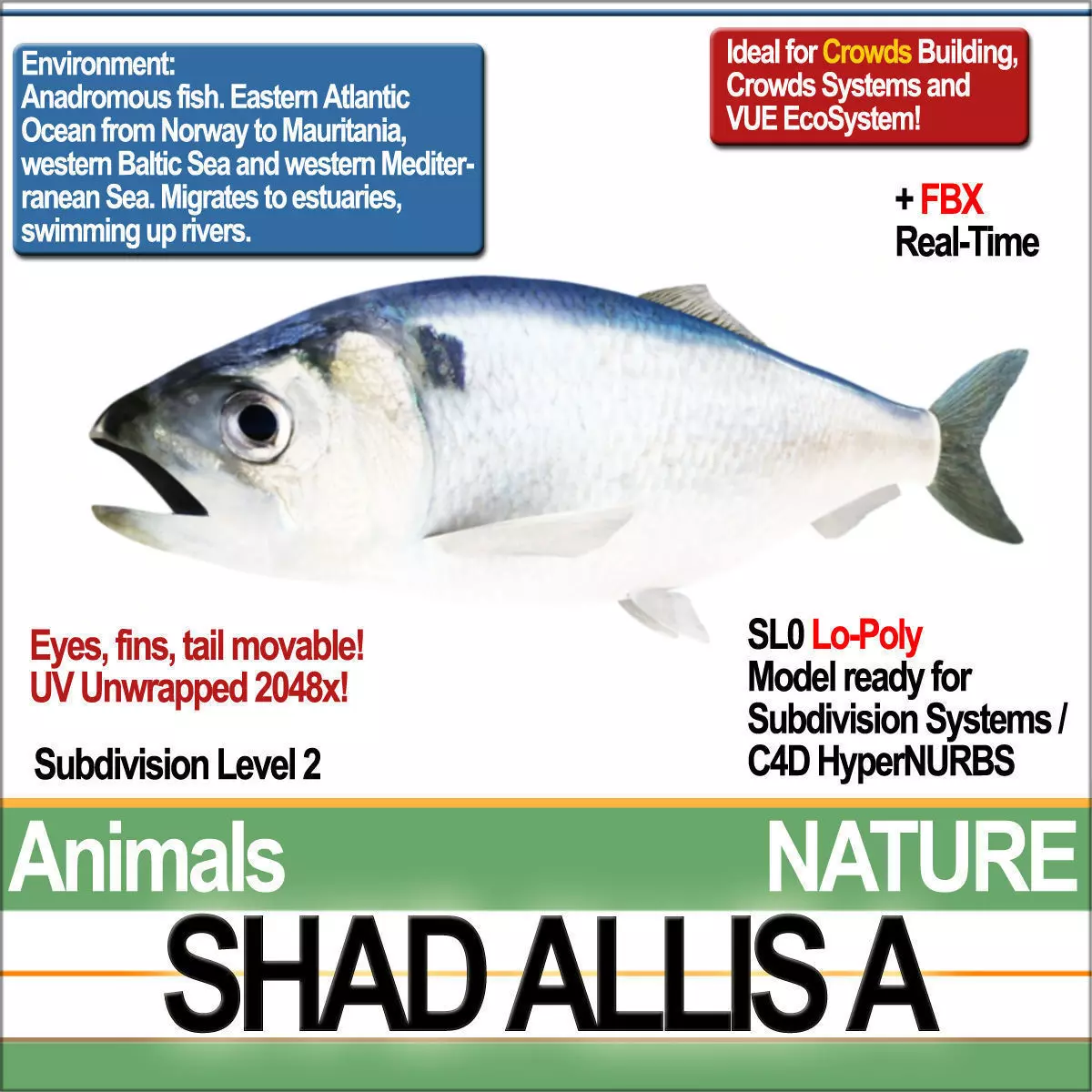 Allis Shad A 3D model_0