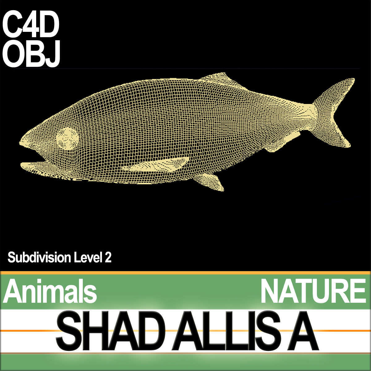 Allis Shad A 3D model_7