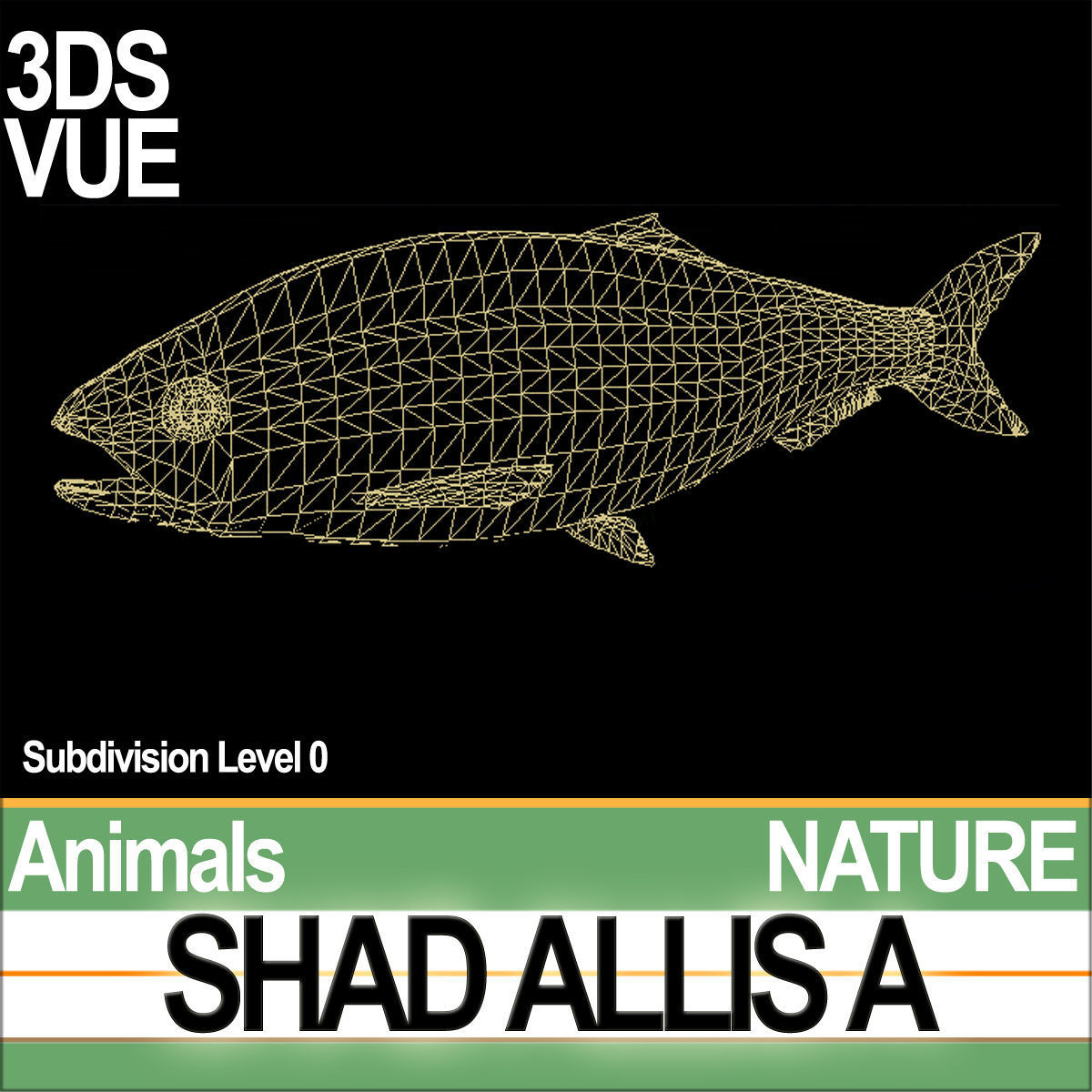 Allis Shad A 3D model_6