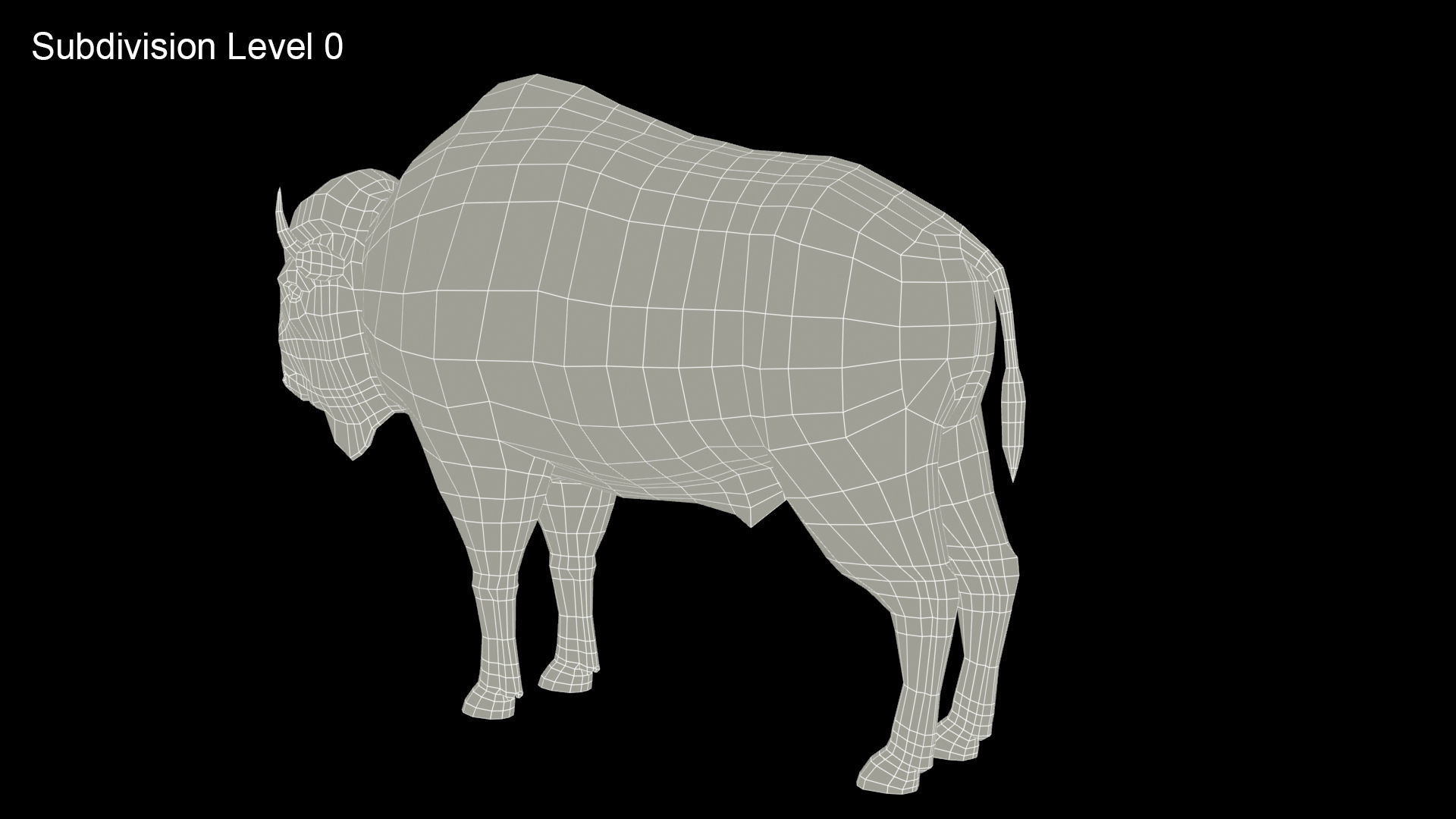 American Buffalo Animated Low-poly 3D model_13