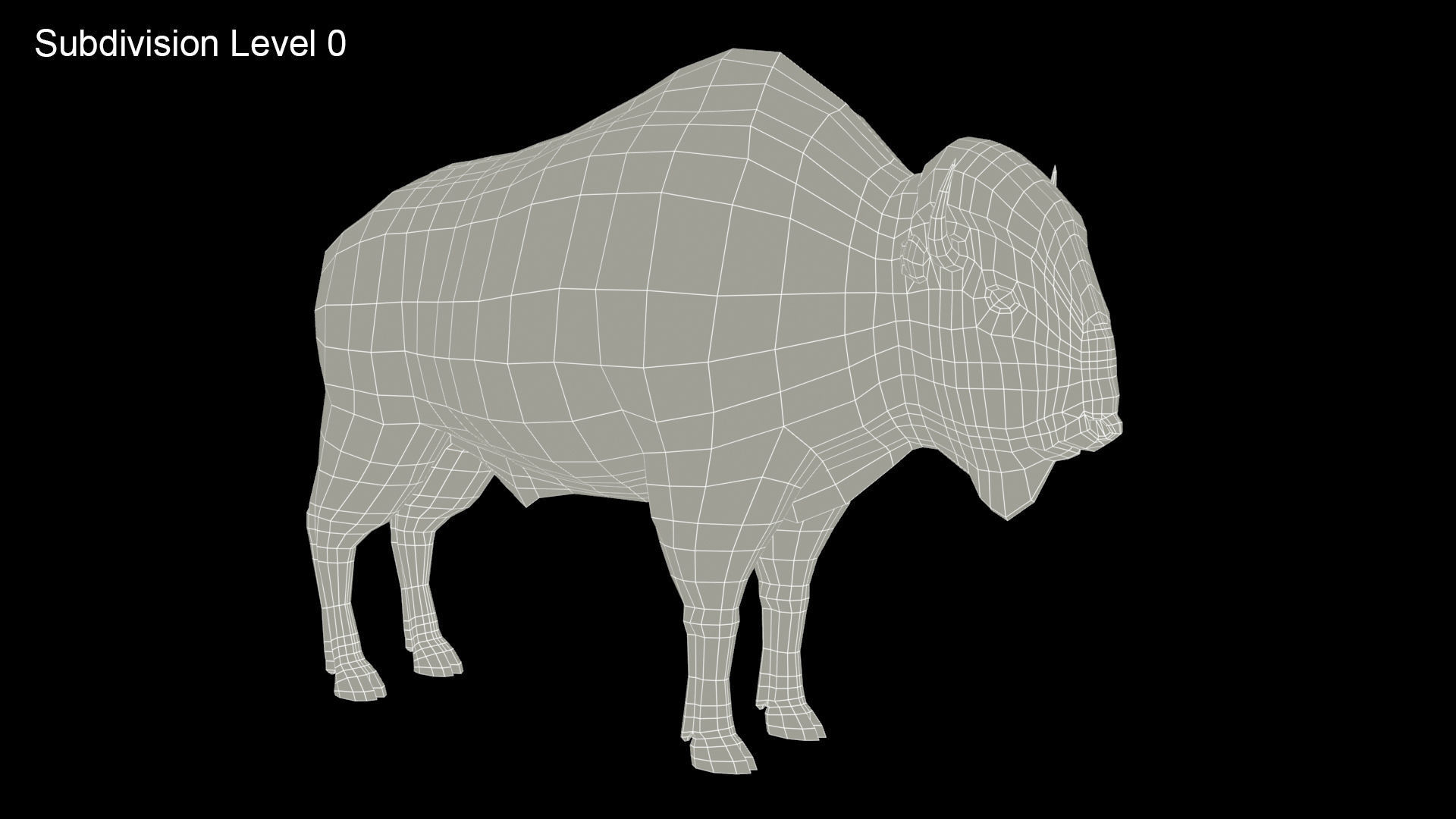American Buffalo Animated Low-poly 3D model_11