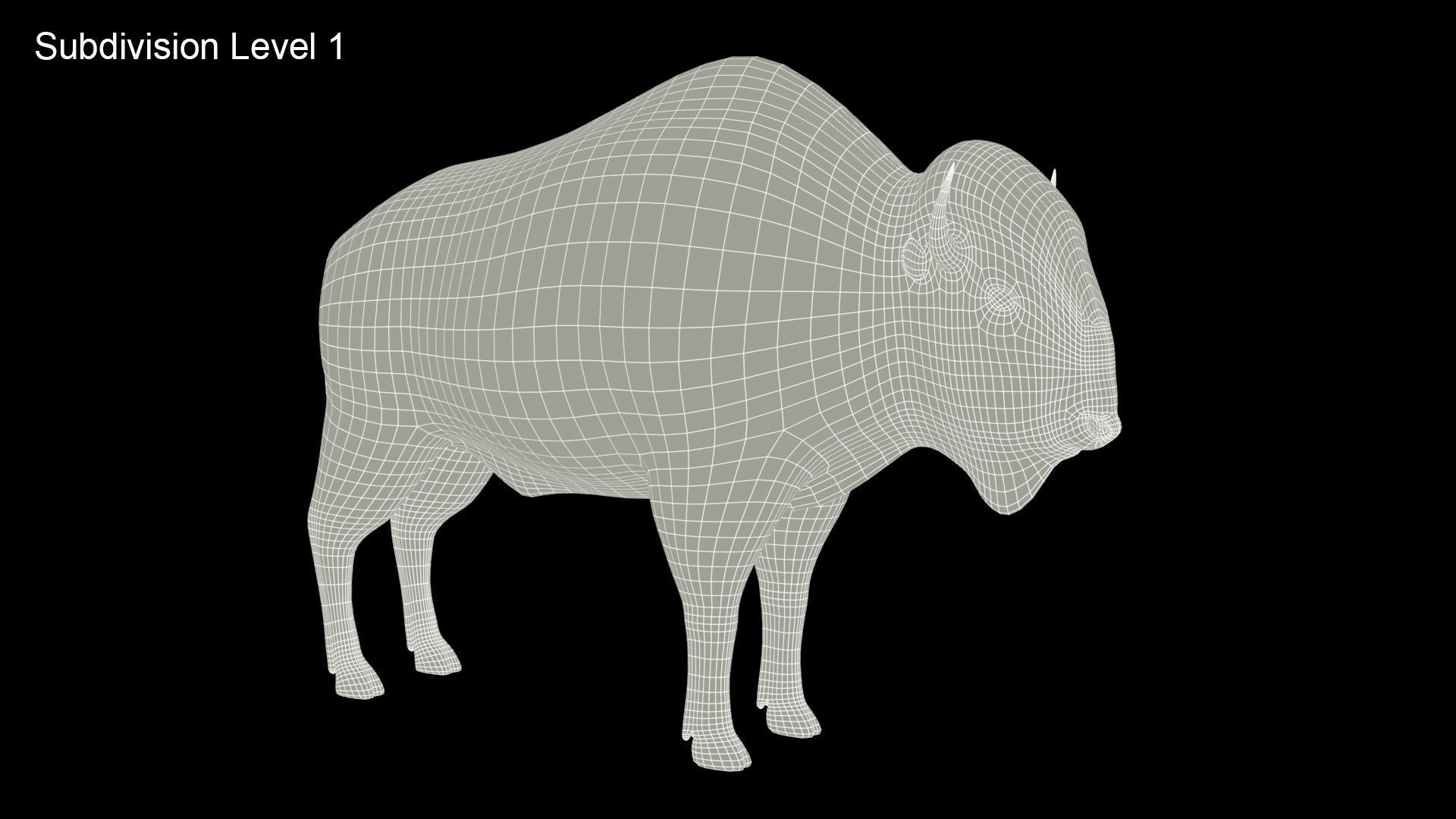 American Buffalo Animated Low-poly 3D model_12