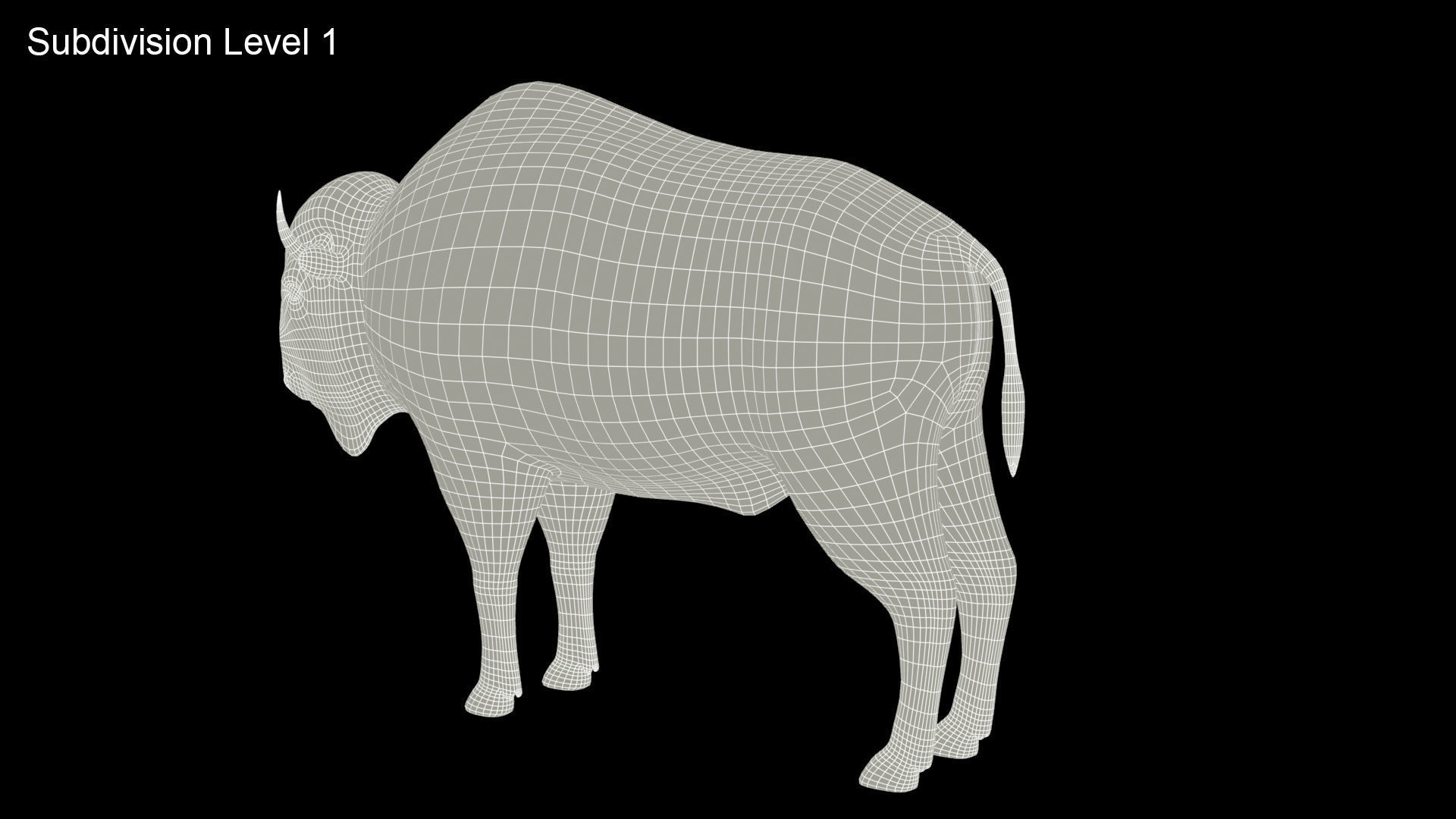 American Buffalo Animated Low-poly 3D model_14
