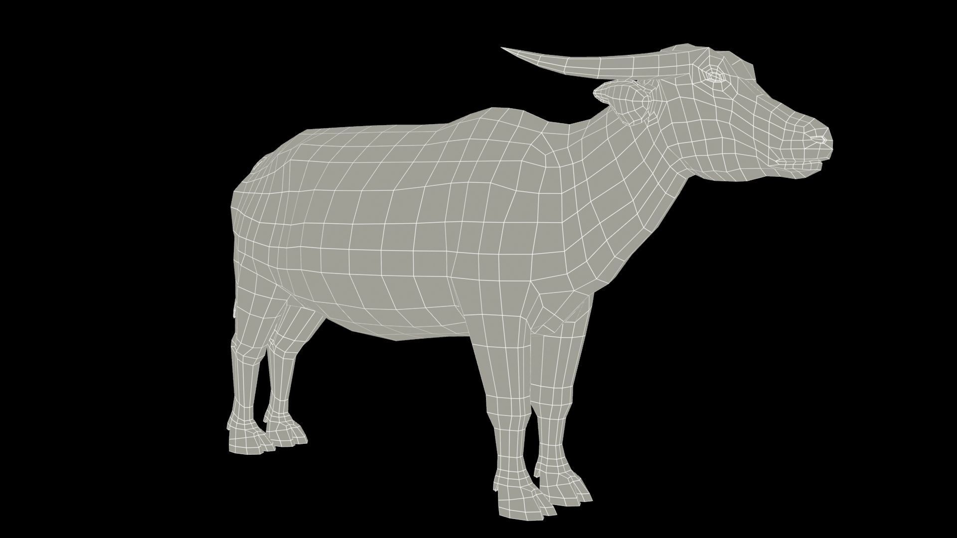 Water Buffalo Animated Low-poly 3D model_9