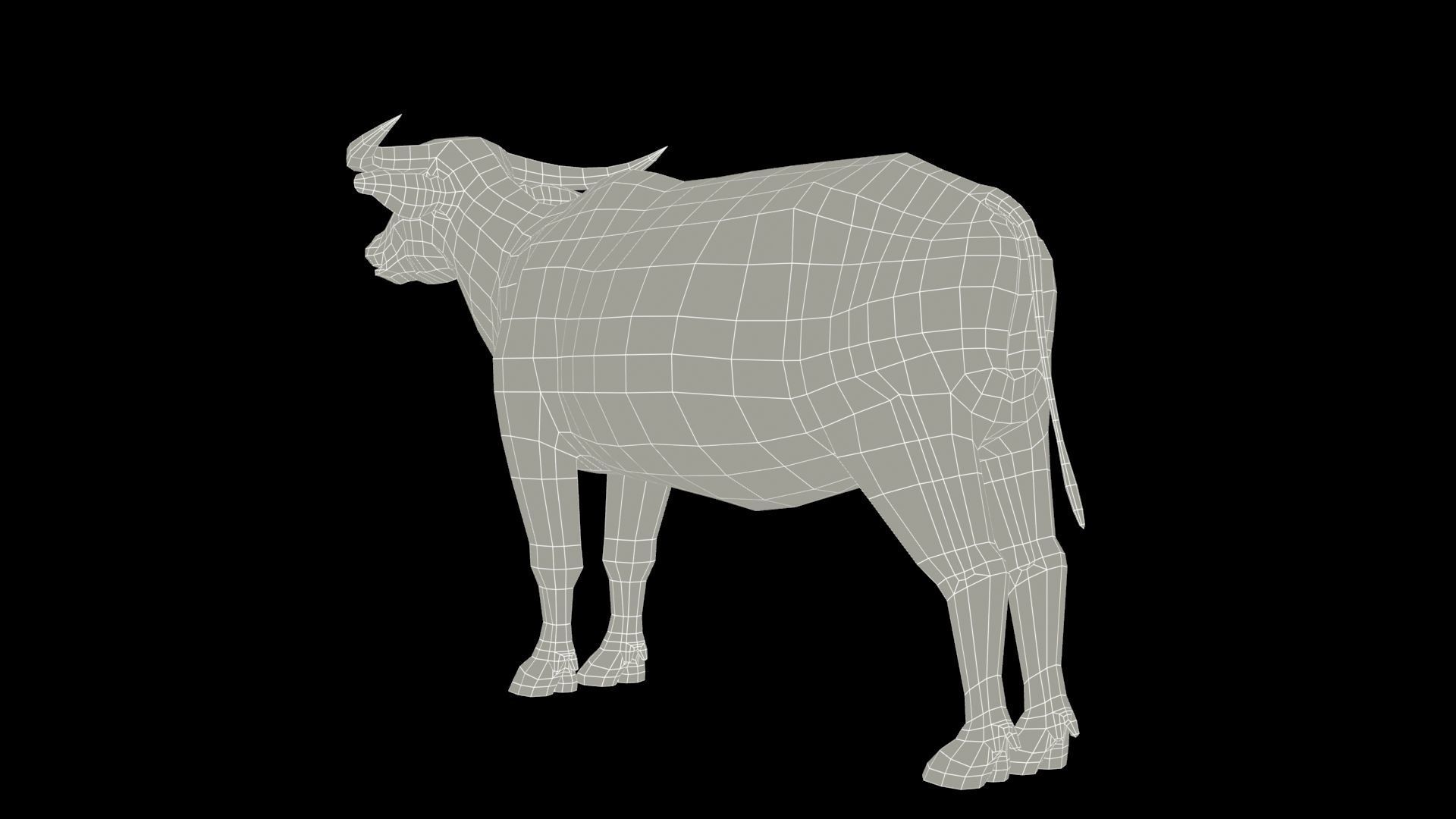 Water Buffalo Animated Low-poly 3D model_10