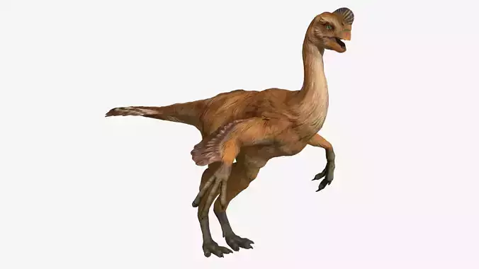 Citipati dinosaur Low-poly 3D model