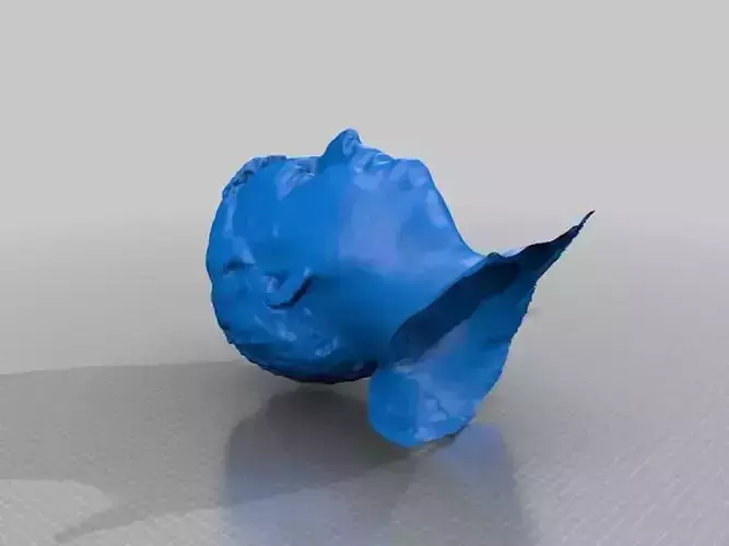 CreativeTools se - Gemini Body Digitizer - Attila Free 3D print model
