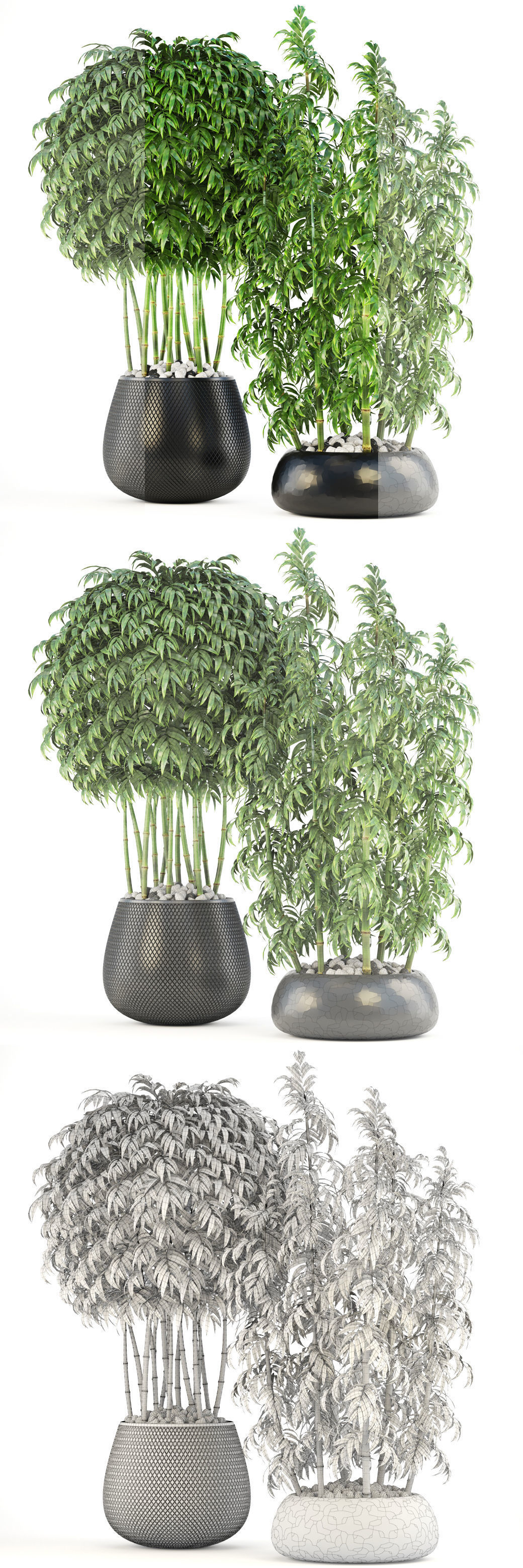 Bamboo Trees 3D model_13