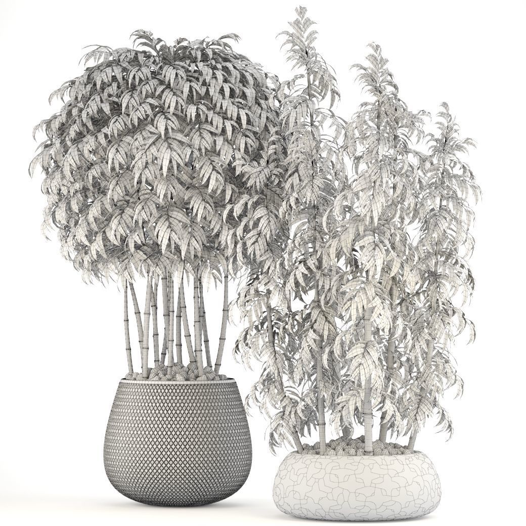 Bamboo Trees 3D model_14