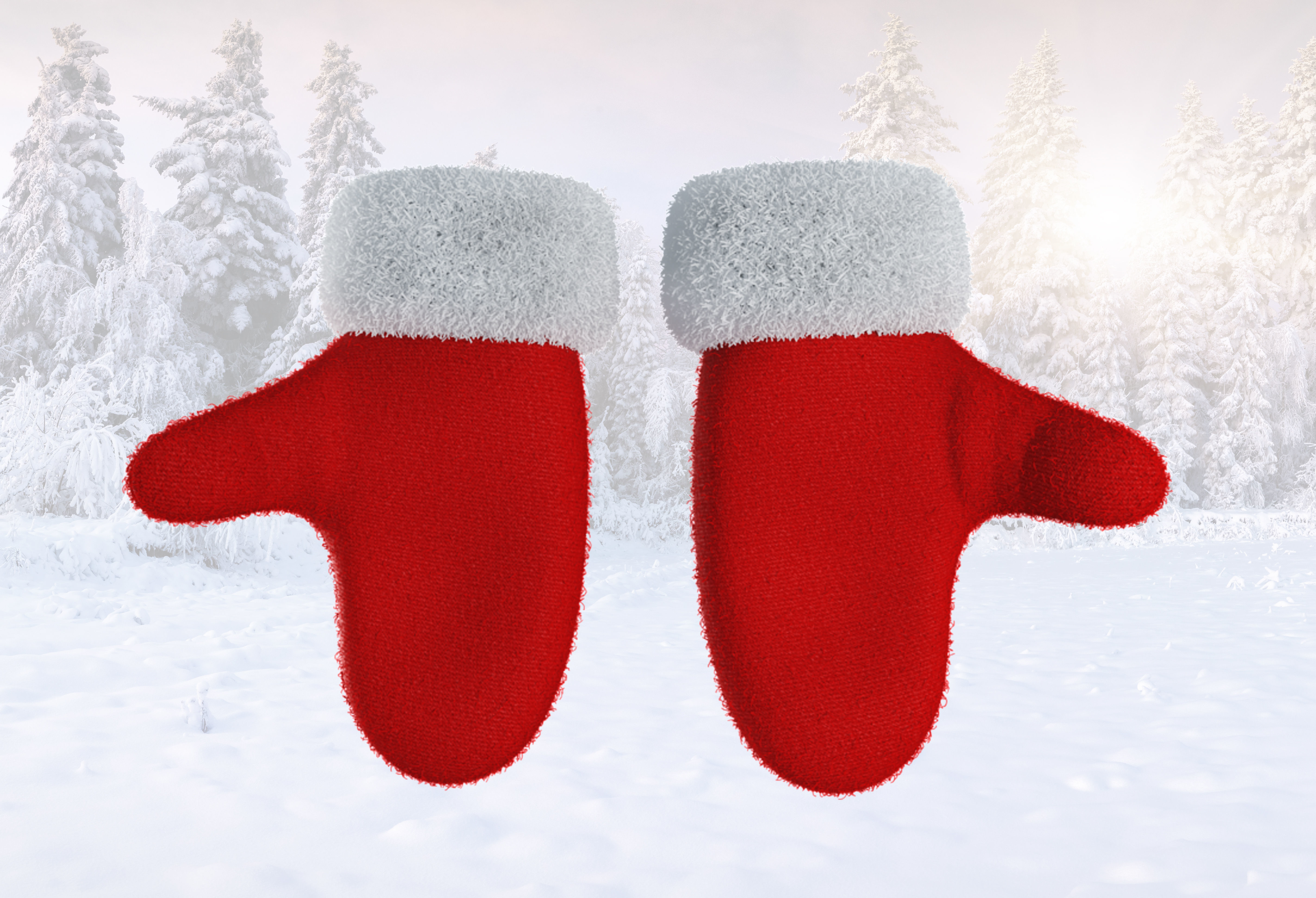 Christmas Gloves Low-poly 3D model_1