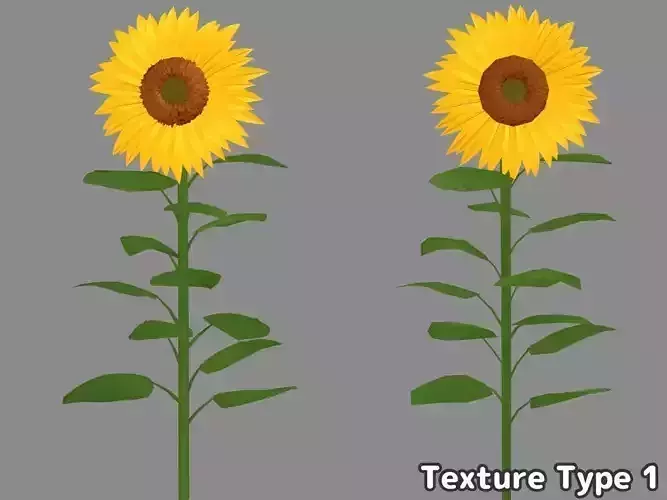 Cartoon-Styles Sunflower