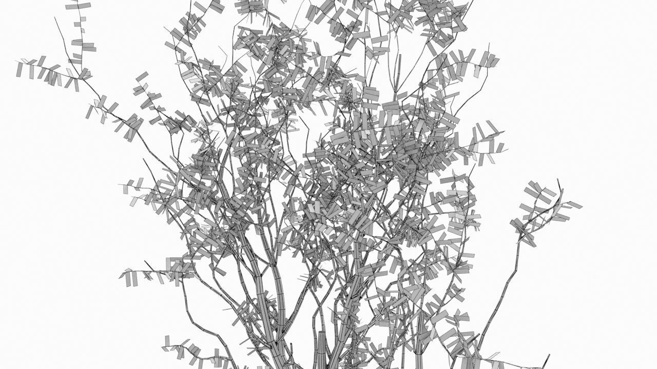 Tree animation Low-poly 3D model_5