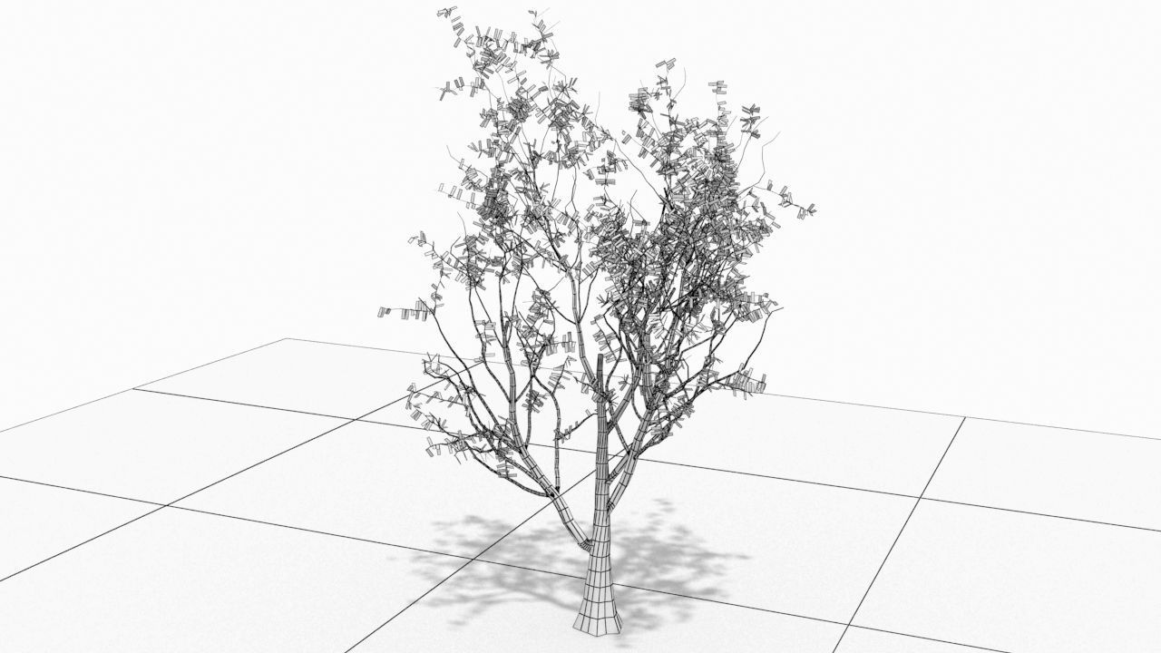 Tree animation Low-poly 3D model_7