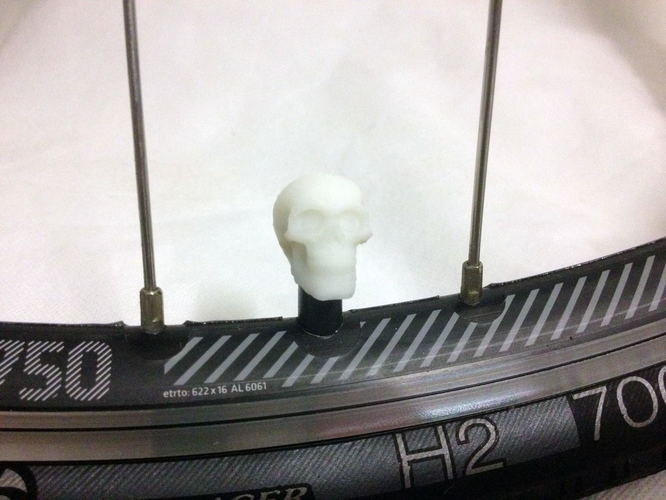 Car Truck Bike Van Tire Tyre Wheel Valve Stem Caps Cover Skull 3D print model 3