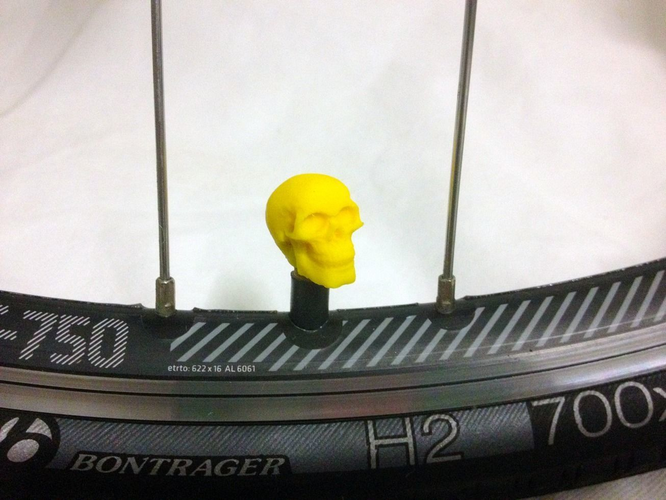Car Truck Bike Van Tire Tyre Wheel Valve Stem Caps Cover Skull 3D print model 4
