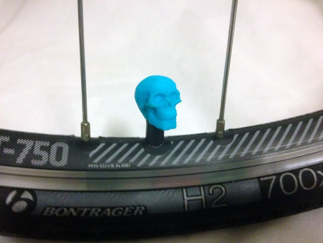 Car Truck Bike Van Tire Tyre Wheel Valve Stem Caps Cover Skull 3D print model 2