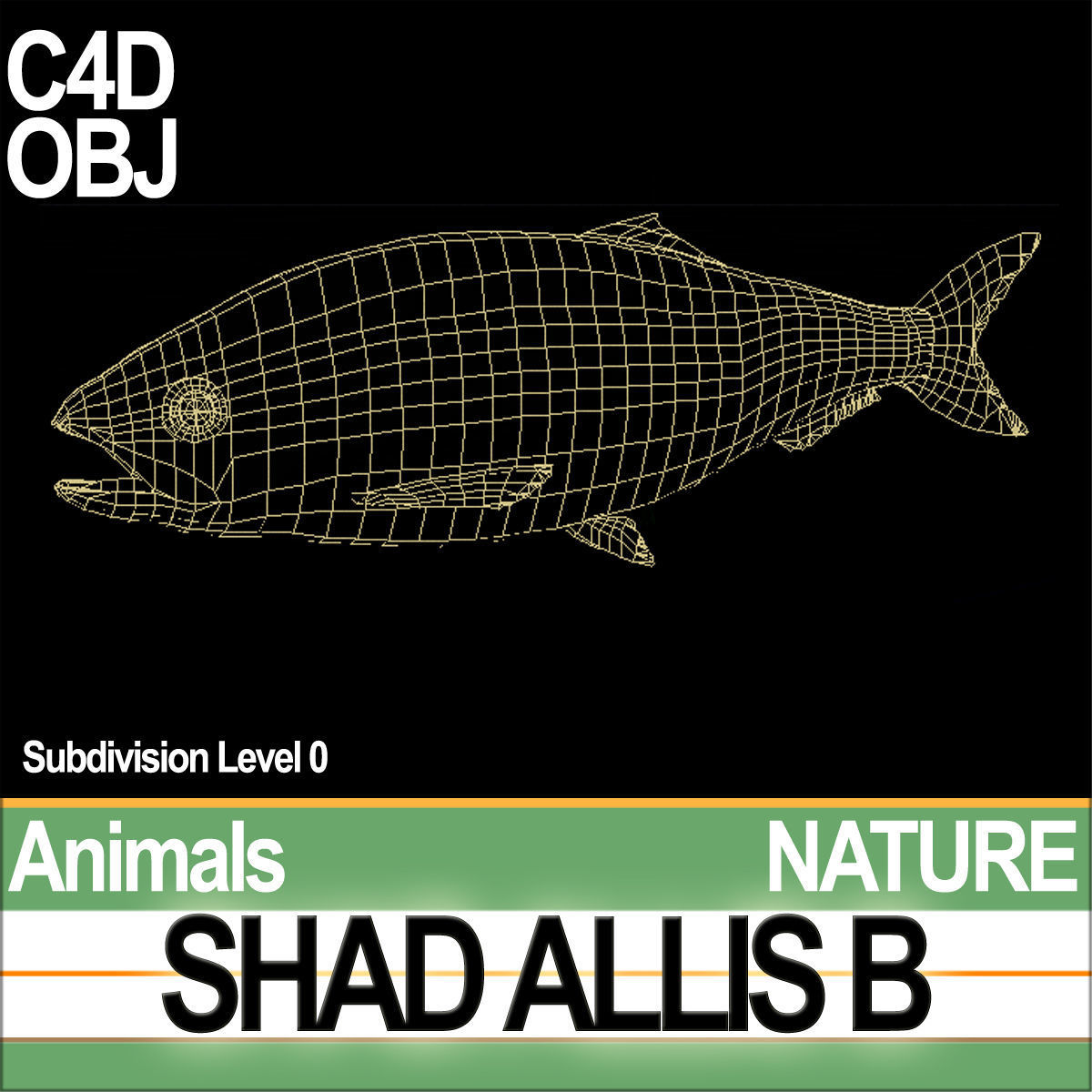 Allis Shad B 3D model_5