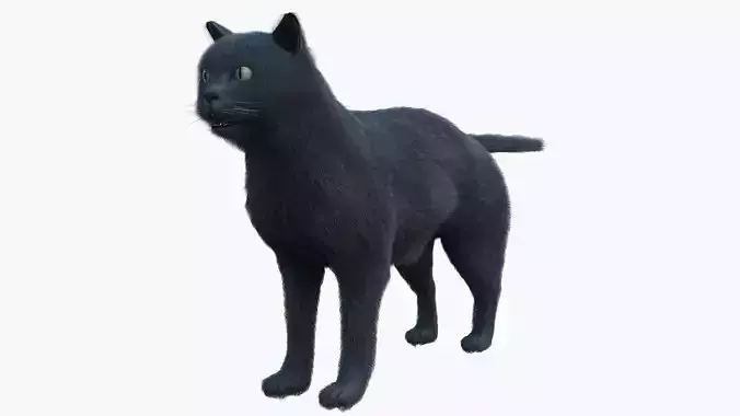 British CAT Low-poly 3D model