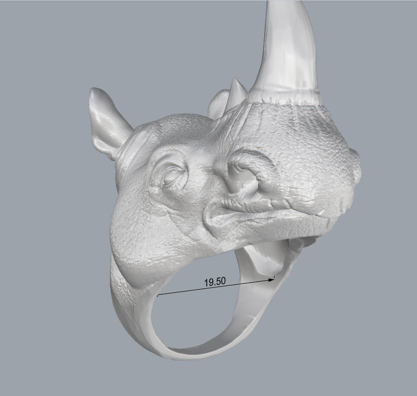 Rhinoceros ring 3D print model_2