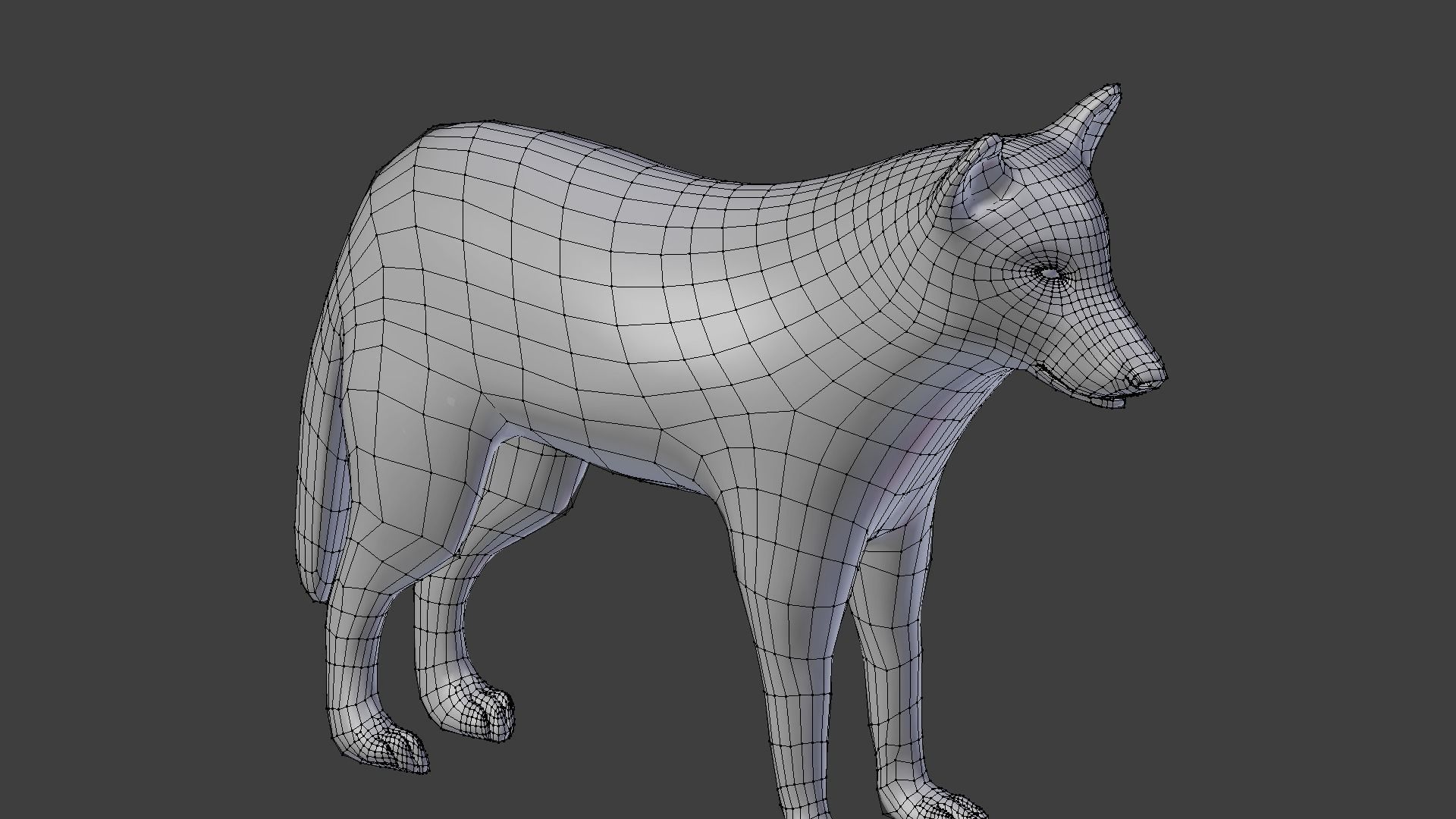 wolf with fur 3D model_4