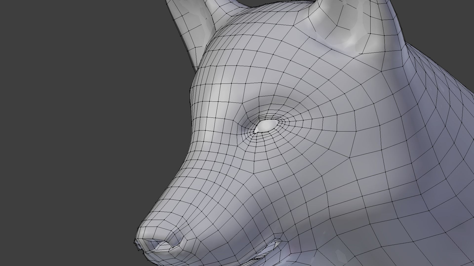 wolf with fur 3D model_5