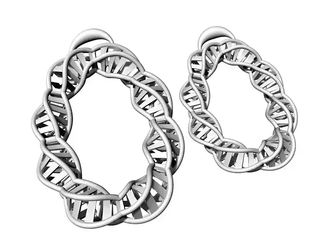 Set 07 dna strand earrings in sterling silver 3D print model