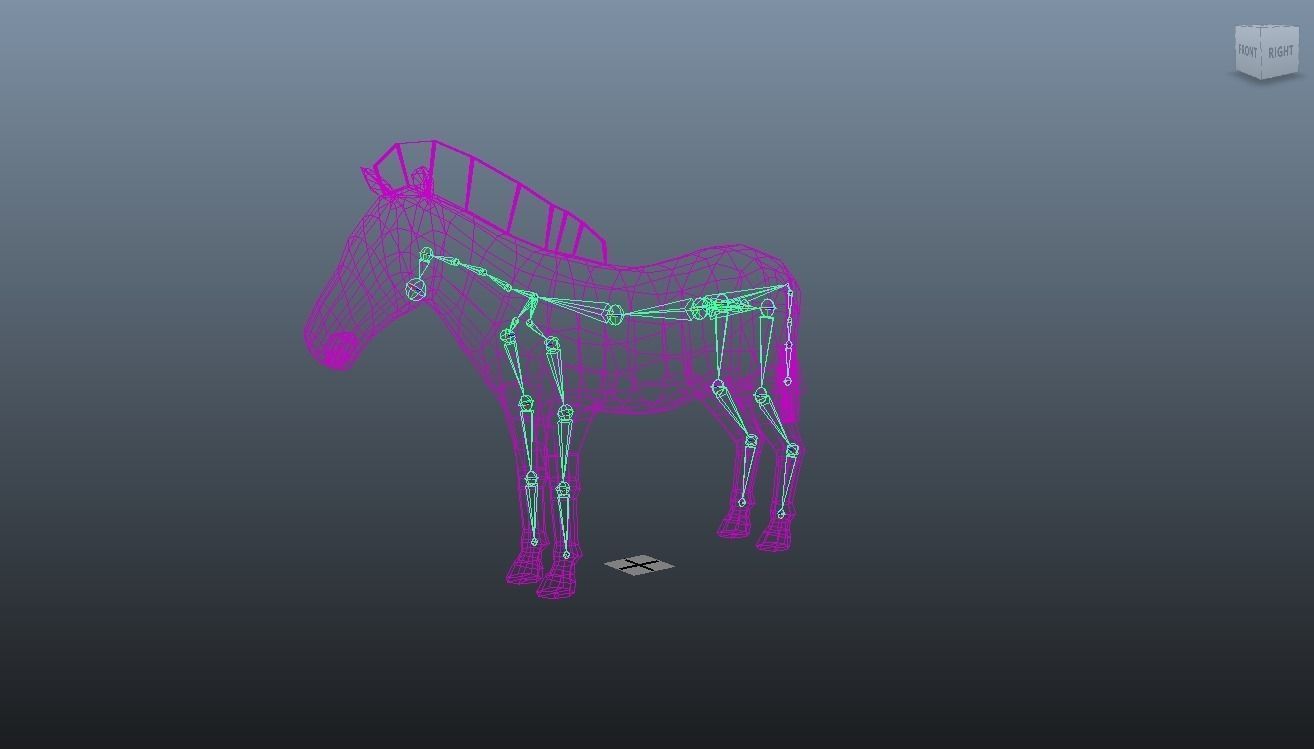 Zebra Animated Low Poly Low-poly 3D model_6