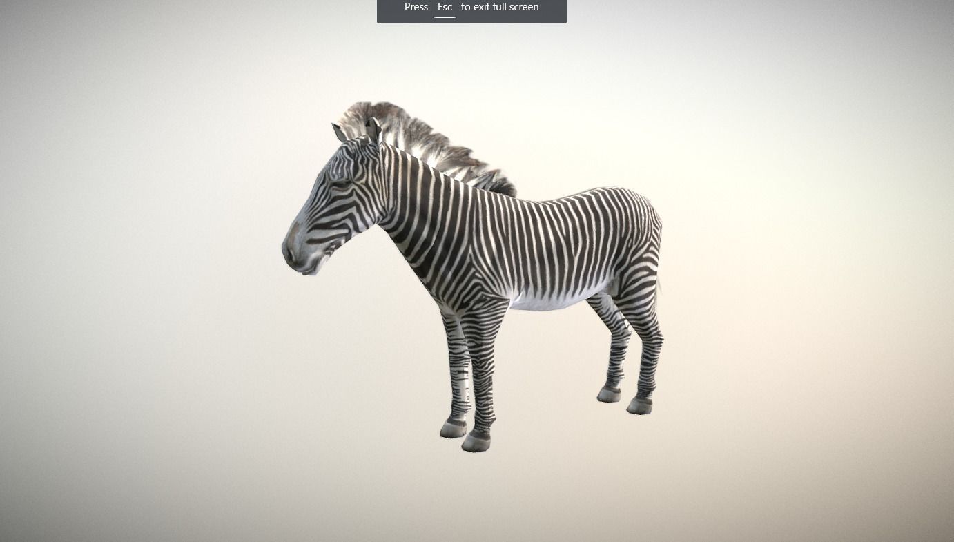 Zebra Animated Low Poly Low-poly 3D model_2