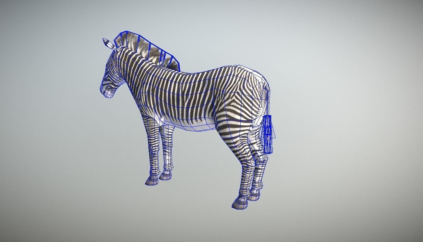 Zebra Animated Low Poly Low-poly 3D model_5