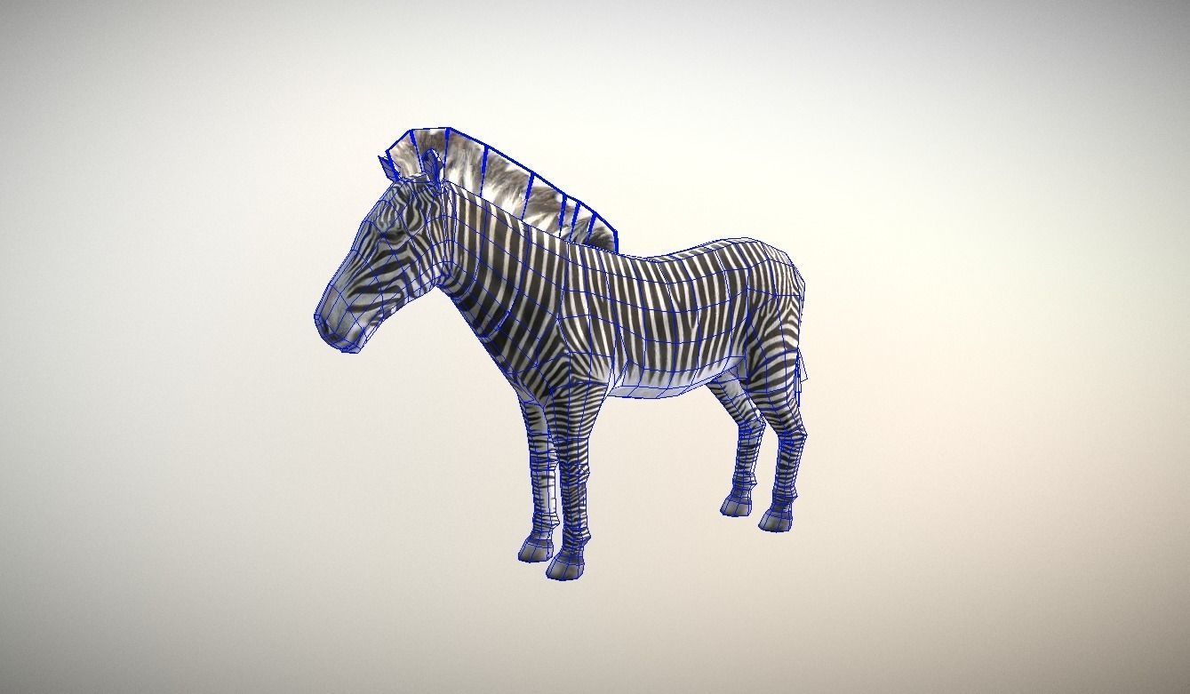 Zebra Animated Low Poly Low-poly 3D model_3