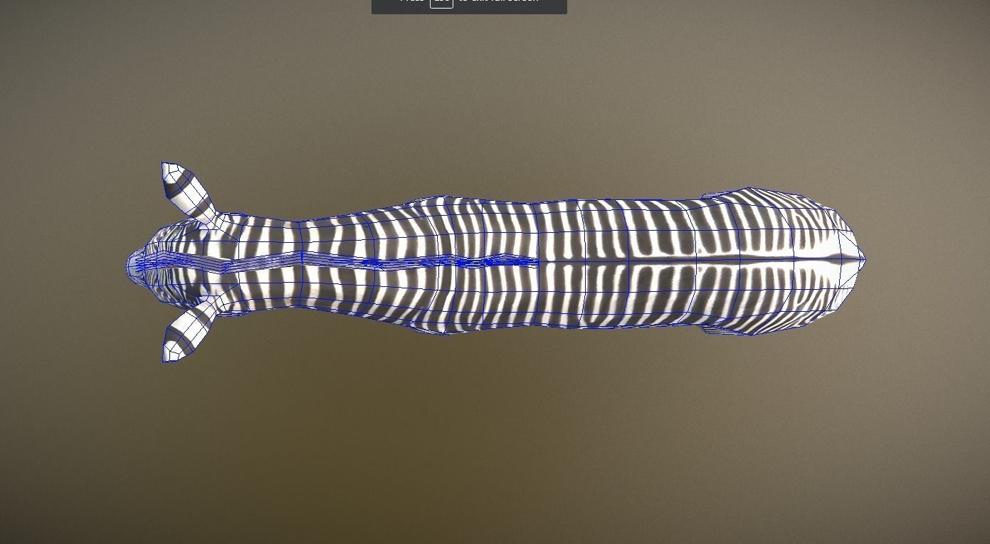 Zebra Animated Low Poly Low-poly 3D model_4