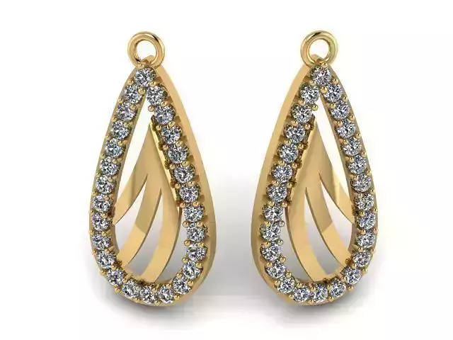 Earrings T00517