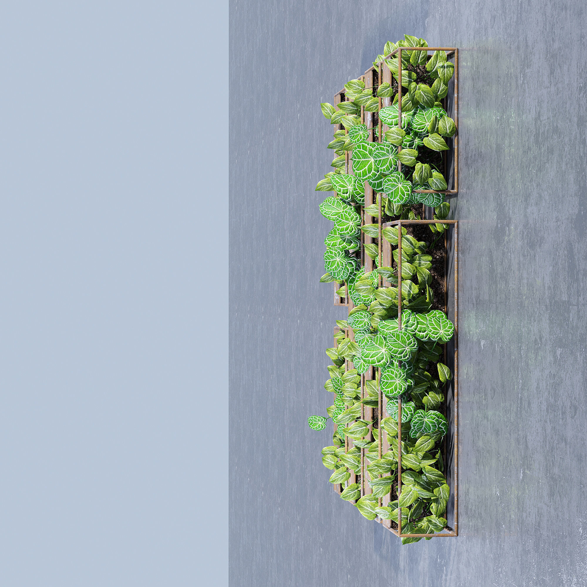 Rectangular shelves three 3D model_5