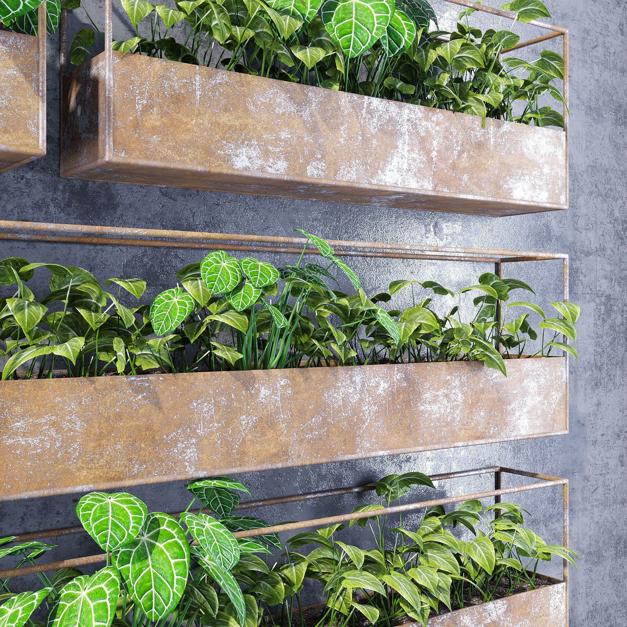 Rectangular shelves three 3D model_4