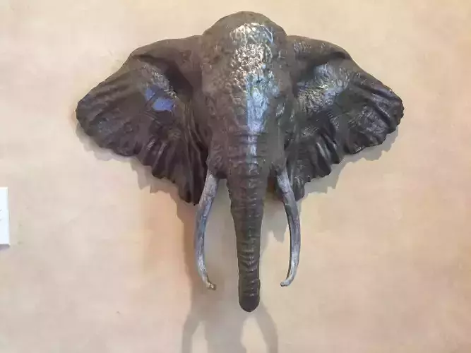 Elephant Head