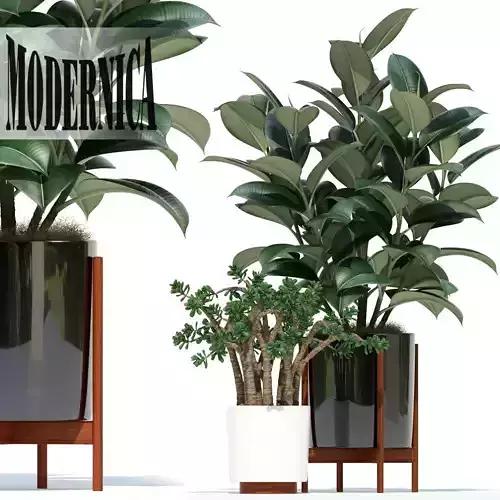 Plants collection 72 Modernica pots