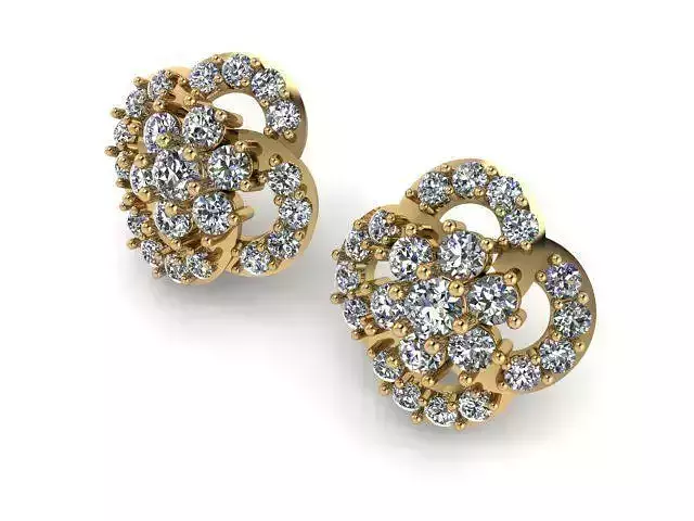 Earrings T00523