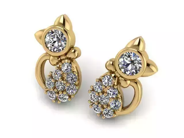 Earrings T00524