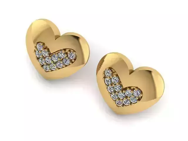 Earrings T00525