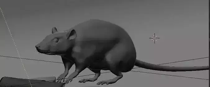 Rat model 3D model